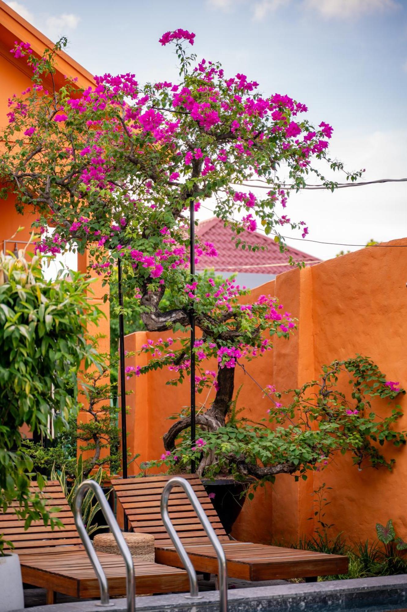 Alana Homestay Hội An Ngoại thất bức ảnh